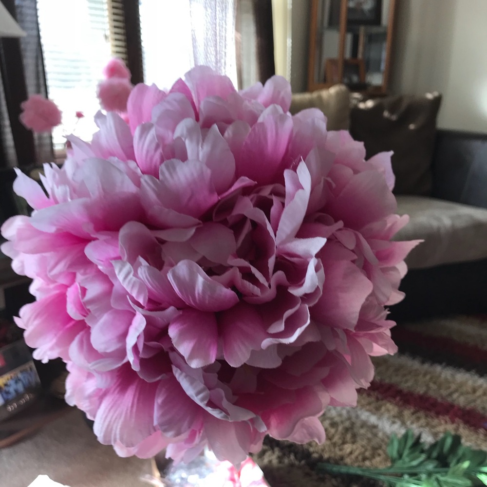 Flower 🌸